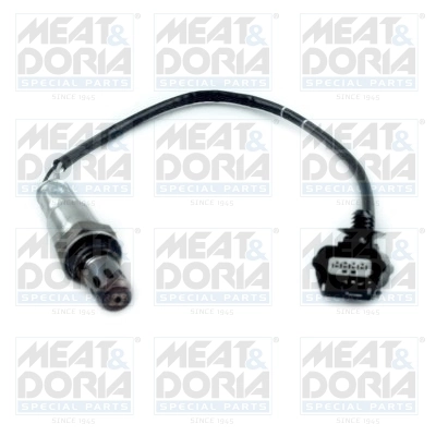 Oxygen Sensor